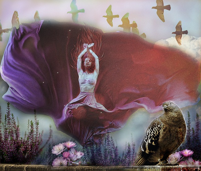 效力于湖人 效力于湖人